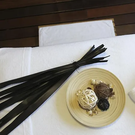 Ordesa De Silken Hotel 4*