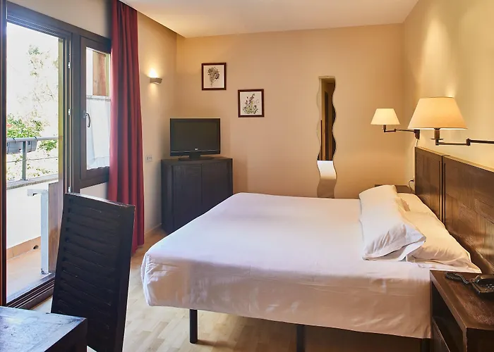 Отель Silken Ordesa 4*